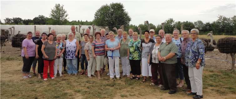 Die Ausflügler auf der Straußenfarm.