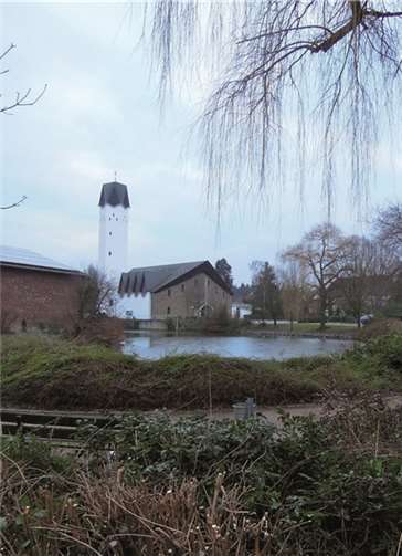 Die Außenhecken am Burgweihergelände wurden geschnitten.privat