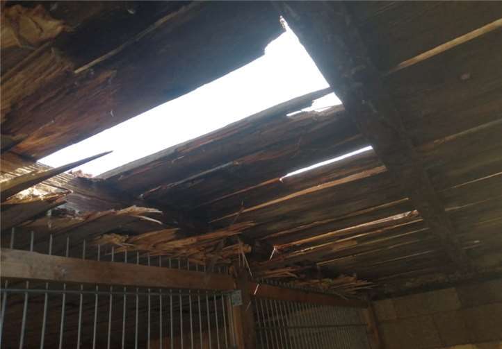 Die Außenzwingeranlagen sind beschädigt.Foto: privat