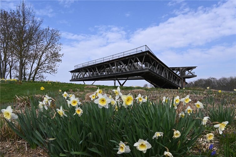 Die Aussichtsplattform Ehrenbreitstein wird derzeit statisch überprüft. Bis alle Mängel beseitigt sind, bleibt das Holzbauwerk geschlossen.