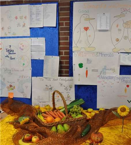 Die Ausstellung „Healthy eating“ der 12. Klasse der Höheren Berufsfachschule für Gesundheit und Soziales.