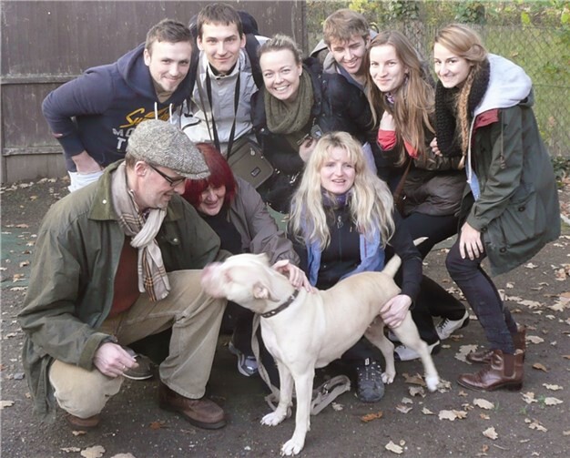 Die Austauschstudenten zeigten Initiative und unterstützten das Tierheim in Remagen sowohl durch die Hilfe bei alltäglichen Aufgaben als auch durch öffentlichkeitswirksame Aktionen.  privat