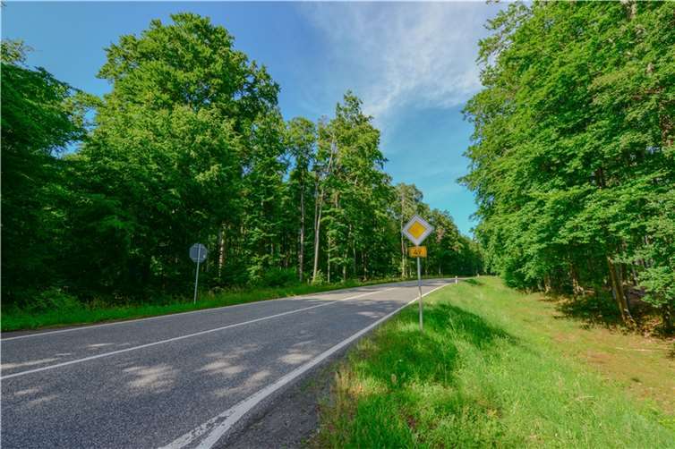 Die B 49 zerschneidet die Montabaurer Höhe, FFH-Gebiet und Naturpark. Das Foto zeigt den Endpunkt des ersten Bauabschnittes von Neuhäusel bis zum Hillscheider Stock. Quelle: Naturschutzinitiative (NI)