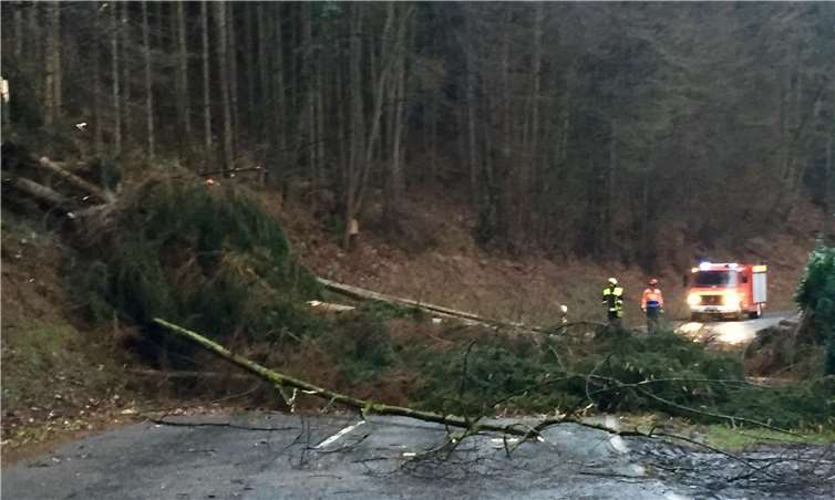 Die B412 im Bereich Brohl-Lützing musste für mehrere Stunden gesperrt werden.Foto: privat