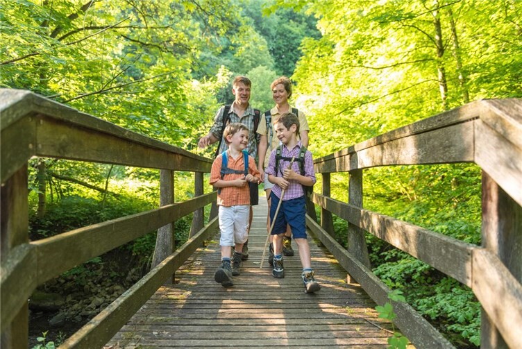 Die Bacher Lay Brücke