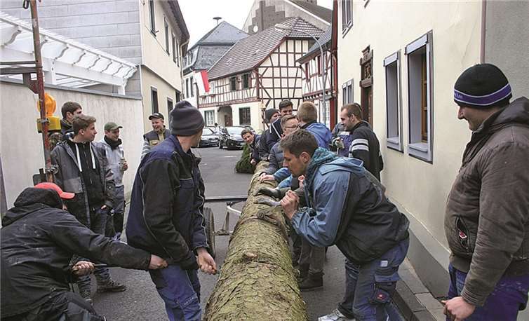 Die Bad Bodendorfer Junggesellen bei der Arbeit an ihrem „Bäumchen.RÜ