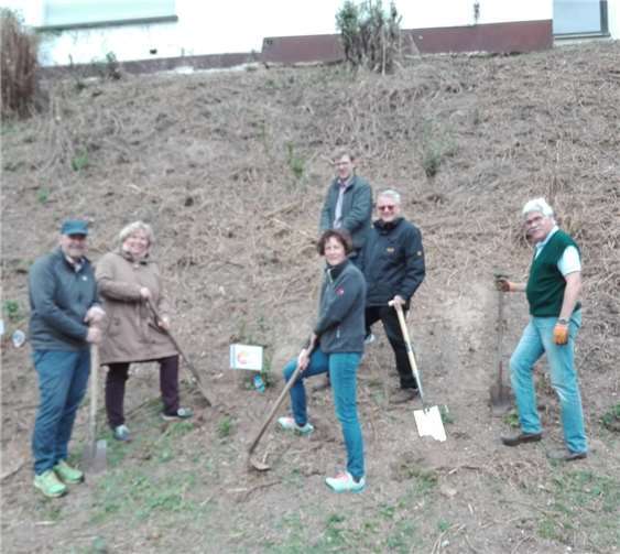 Die Bad Breisiger Christdemokraten pflanzten Blumen. Foto: CDU