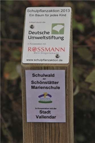 Die Bäume der ersten Pflanzaktion wurden in Kooperation mit der Deutschen Umweltstiftung gepflanzt.