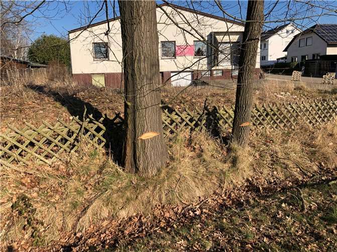 Die Bäume wurden stark eingekerbt – vermutlich mit einer Kettensäge.Foto: Gemeinde Wachtberg/rb