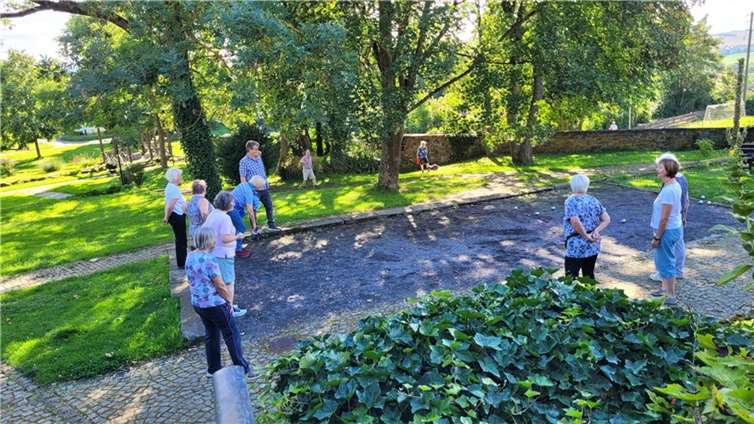 Die Bahn liegt im schattigen Bereich einer Allee. Foto: privat