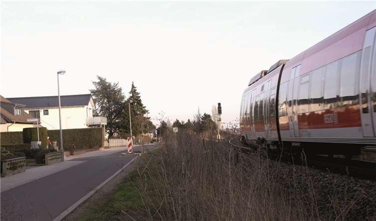 Die Bahnstrecke in Odendorf, der natürliche Bewuchs wurde entfernt. privat