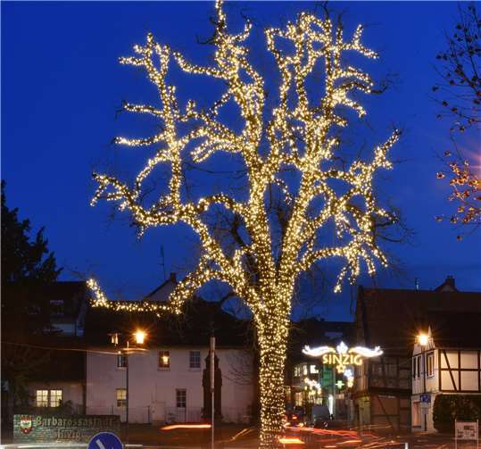 Die Baumbeleuchtung am Kreisverkehr kann man bereits ab dem 11. November bewundern.