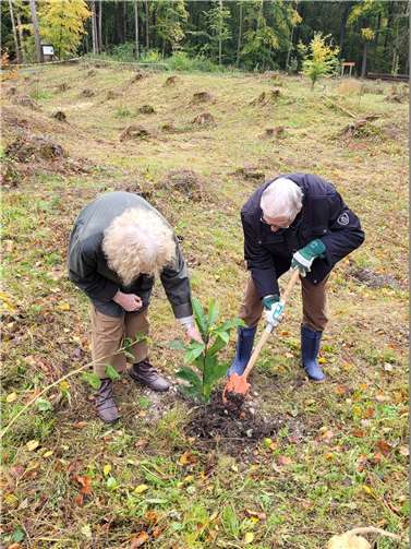 Die Baumpatinnen und Baumpaten konnten selbst aktiv werden und ihre Bäume pflanzen. Fotos: Stadt Bendorf am Rhein
