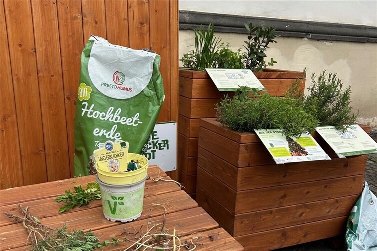 Die Beete der Endeckerlounge wurden für die neue Saison aufgerüstet.