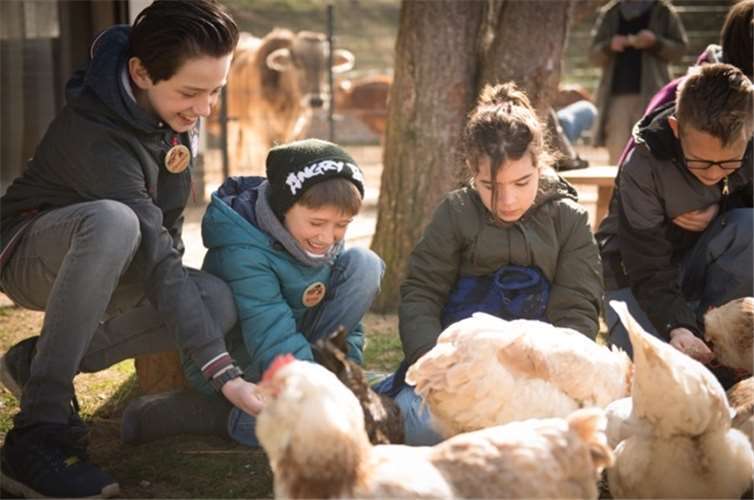 Die Begegnung miteinander und mit den Tieren war eine heilsame Erfahrung.
