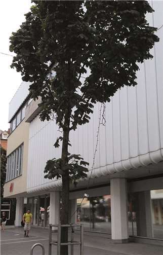 Die Beleuchtungskette hängt in der Fußgängerzone.Privat