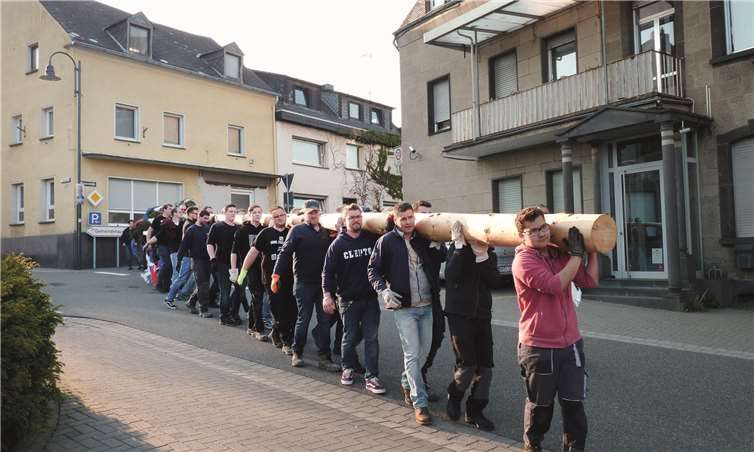 Die „Beller Junge“ marschierten mit einem 18 Meter langen Maibaum auf den Schultern zum neuen Beller Dorfplatz. Fotos: FRE