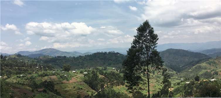 Sieben Monate in Ruanda Die Bendorferin ist begeistert von der atemberaubenden Natur Ruandas.
