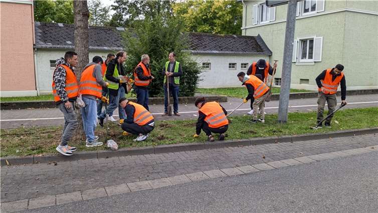 Die Bepflanzung der Grünflächen an den Neuwieder Straßen.