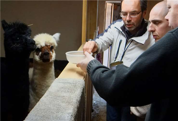 Die Besucher aus Kloster Ebernach näherten sich den Tieren vorsichtig. Fotos: Kloster Ebernach