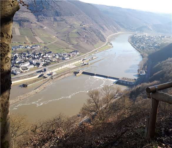 Die Besucher haben nun wieder frei Sicht bei der Aussicht an der „Dicken Buche“.