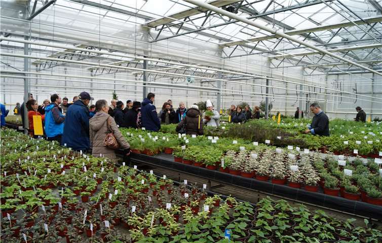 Die Besucher im Gewächshaus.Caritas Werkstätten, Sinzig