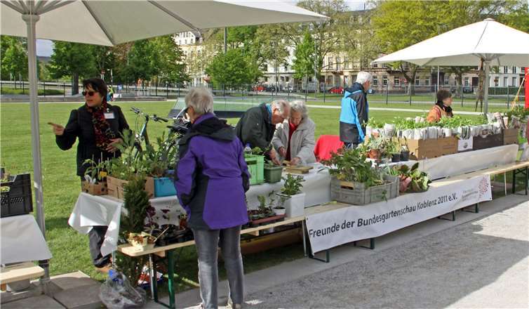 Die Besucher können sich auf wieder eine gut bestücke Pflanzenbörse freuen.Friedhelm Zernack
