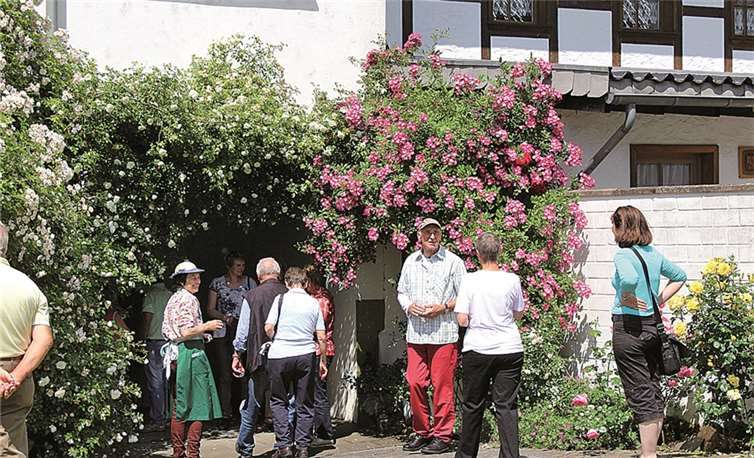 Die Besucher schätzten die kompetenten Führungen von Johannes Urbanek und natürlich die Rosenpracht.privat