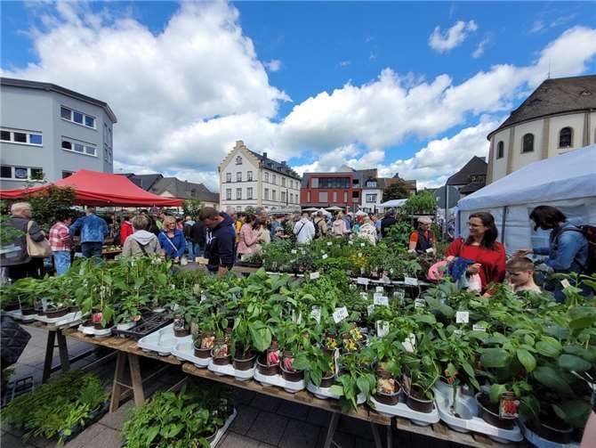 Die Besucherinnen und Besucher dürfen sich auf eine große Auswahl an Stauden, Topfpflanzen, Blumen- und Gemüsestecklingen sowie Microgrün freuen.
