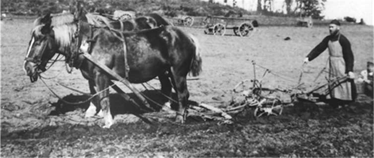 Die Bevölkerung lebte überwiegend von der Landwirtschaft. Im damaligen Kreis Ahrweiler gab es 6.167 Selbständige im Acker- und Weinbau sowie 16.159 helfende Familienangehörige.