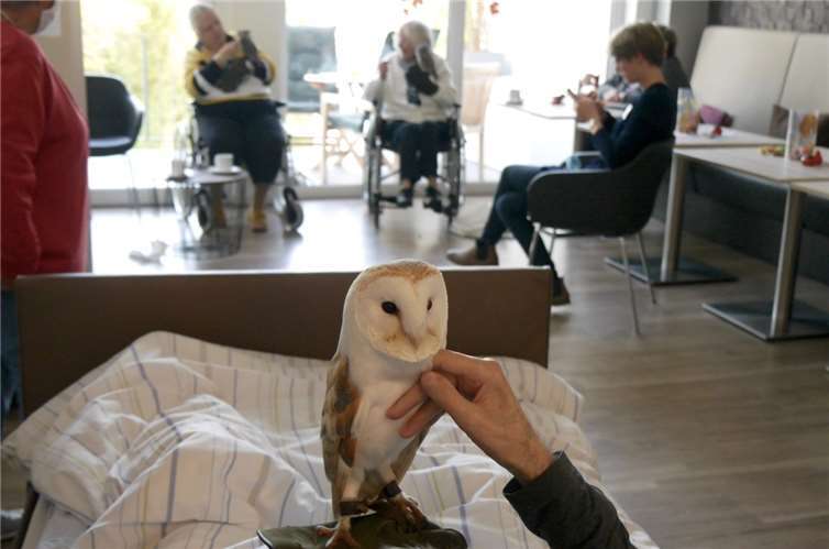 Die Bewohner streichelten die Vögel.