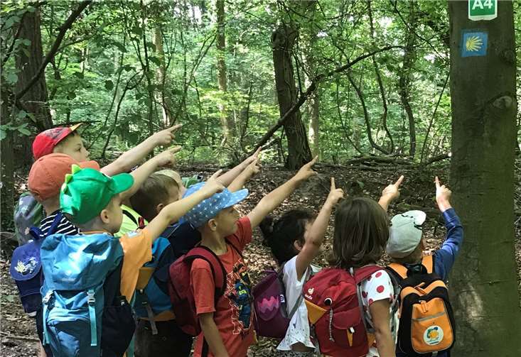 Die Bienengruppe entdeckten die Wanderzeichen an einem Baum. Fotos: privat