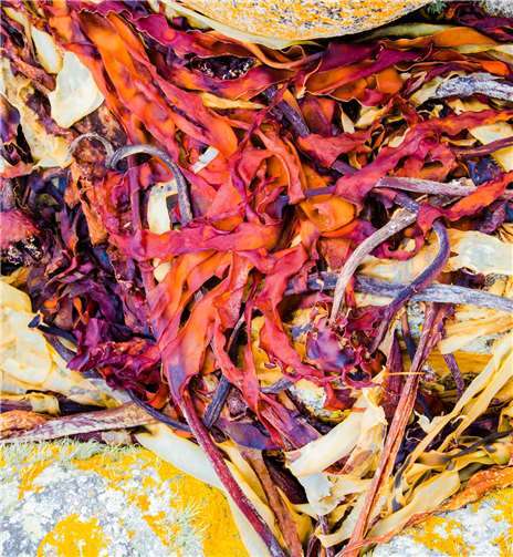 Die Bilder von Thomas Riedel sind online zu sehen. Quelle: Thomas Riedel