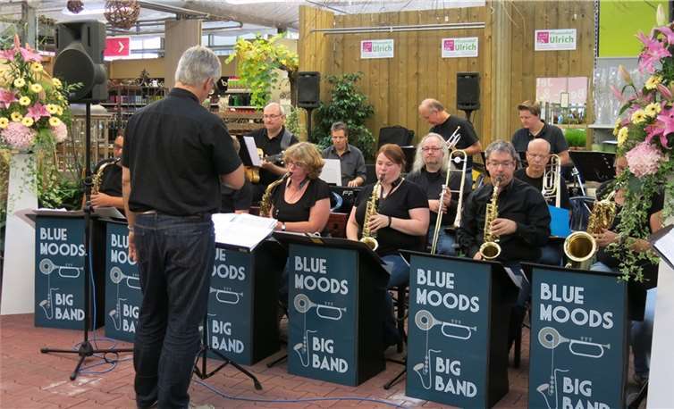 Die BlueMoods Big Band auf der Bühne.privat