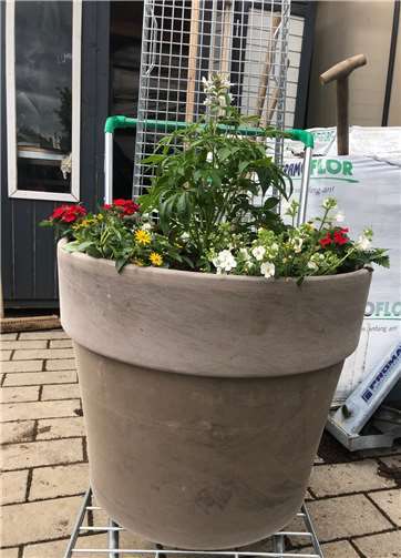 Die Blumenbottiche sollen auf die Landesgartenschau hinweisen.