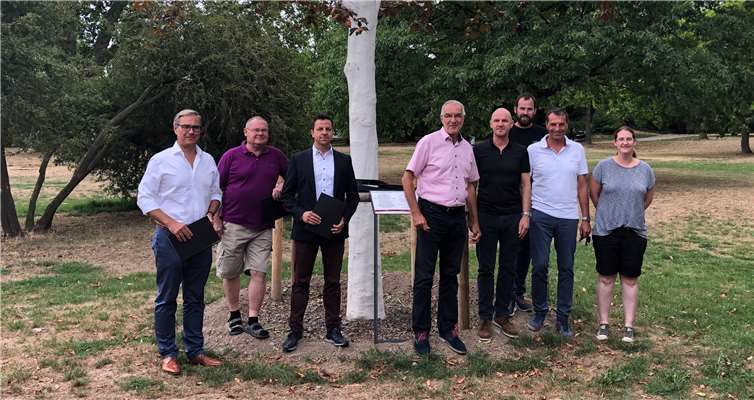 Die Blutbuche ersetzt einen Baum, der aus Gründen der Verkehrssicherheit gefällt wurde.Foto: Stadt Koblenz