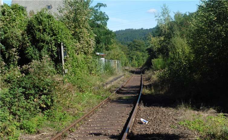 Die Brexbachtalbahn soll künftig wieder am Sayner Bahnhof vorbei bis zum Kletterwald fahren. Foto: GM