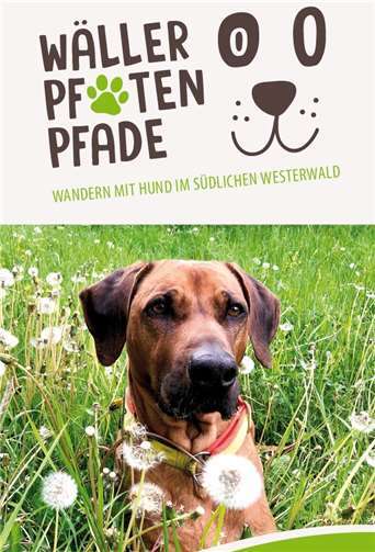 Die Broschüre „Wäller Pfoten Pfade“ gibt es kostenlos in der Tourist Info, Tel. (0 26 02) 9 50 27 80, E-Mail: tourismus@montabaur.de. Quelle: VG Montabaur