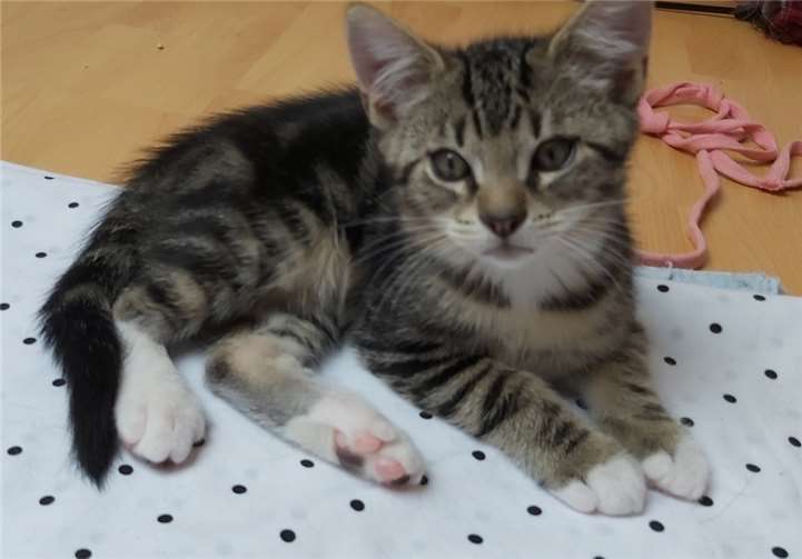 Die Brüder Findus ...Fotos: privat