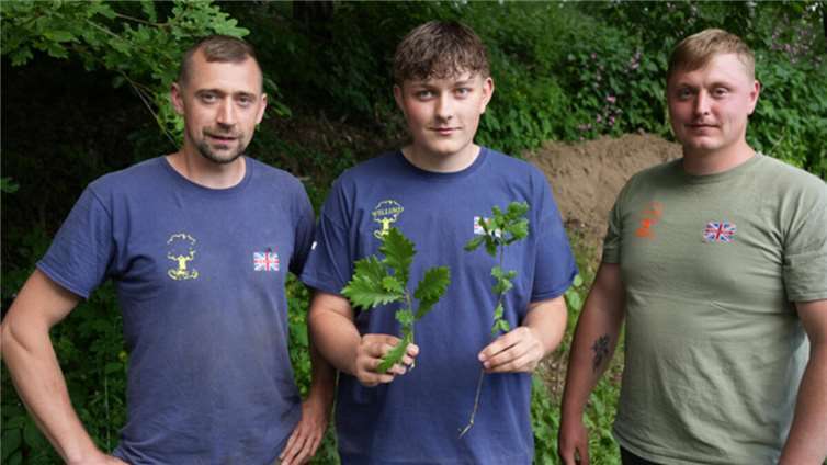 Die Brüder Kevin (34), William (17) und Luke Blackburn (28) vom Baumdienst Siebengebirge mit den Blättern einer gesunden Eiche und einem Zweig (rechts), der Nährstoffmangel anzeigt.  Foto: Stephan Hübenthal