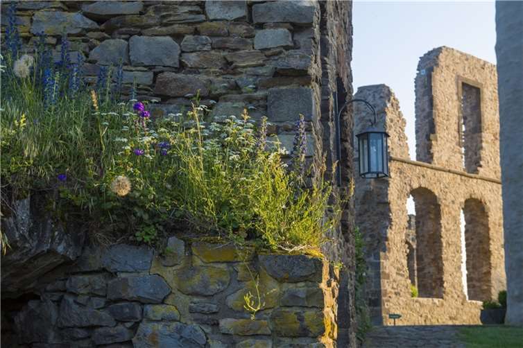 Die Burg Olbrück.  Foto: Kappest