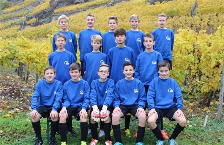 Die D I-Junioren der JSG Untermosel in ihren neuen Sweatshirts.privat