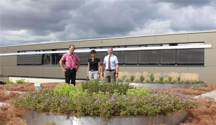 Die Dachbegrünung hat viele Vorteile: Sie schützt vor Umwelteinflüssen, isoliert und leistet einen Beitrag zum Schallschutz. Foto: privat