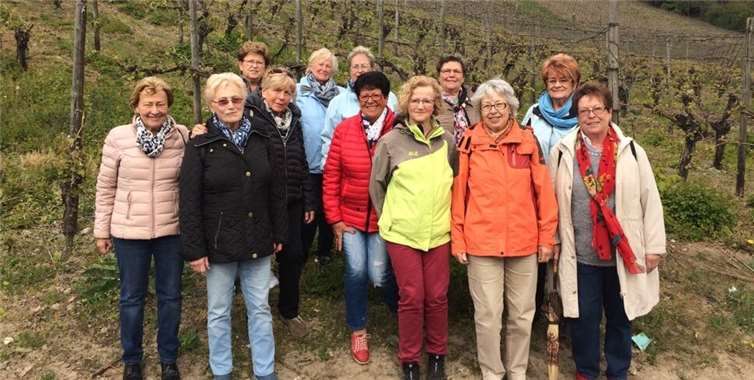 Die Damen der Montagsriege des TV Remagen im Weinberg unterhalb des Drachenfelsens in Rhöndorf.Privat