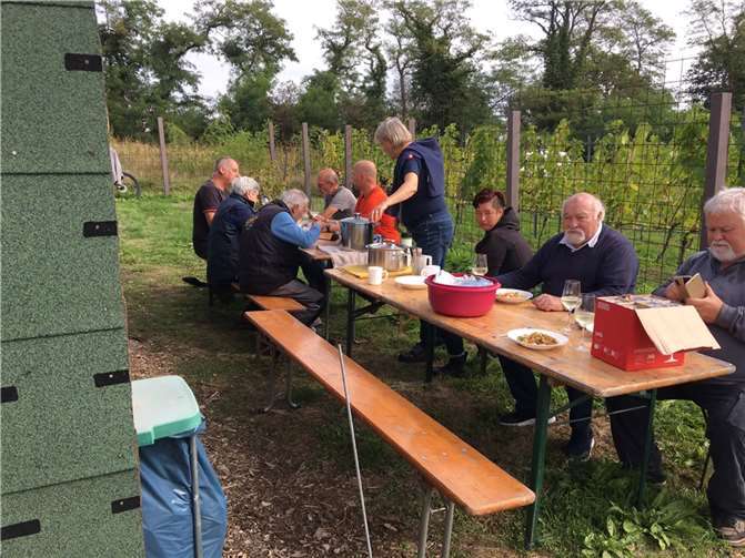 Die Deichstadtwinzer blicken auf ein ereignisreiches Jahr zurück. Foto: privat