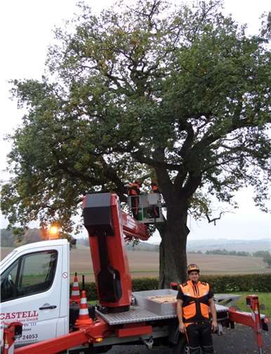Die „Dicke Eiche“ wurde fachgerecht überprüft. privat