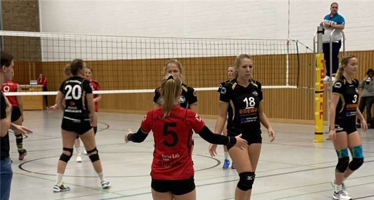 Die Drachenländer Volleys mussten sich mit 3:1 geschlagen geben. Foto: privat