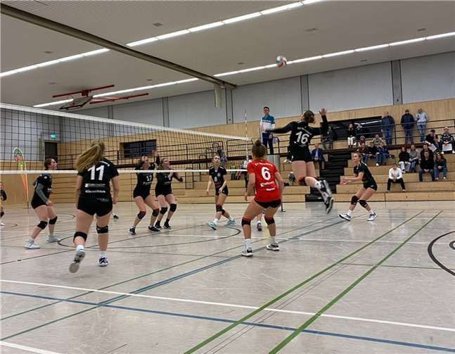 Die Drachenländer Volleys spielen gegen den VC SFG Olpe.Foto: SV Wachtberg