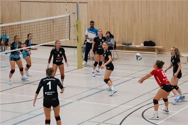 Die Drachenländer Volleys zeigten eine kämpferische Leistung. Quelle: SV Wachtberg
