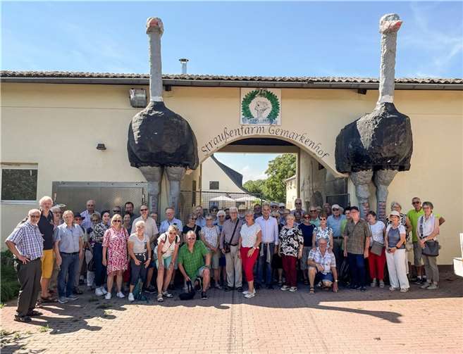 Die Ehrenamtlichen erlebten einen abwechslungsreichen Nachmittag auf der Straußenfarm.  Foto: CREATIV PICTURE – Heinz-Werner Lamberz